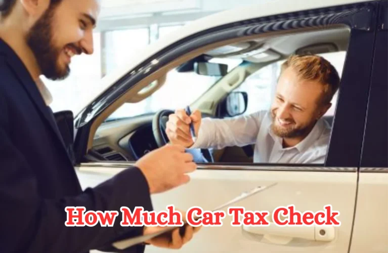 How Much Car Tax Check