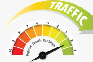 How to Check my Website SEO Score