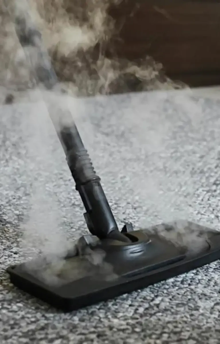 Carpet Steam Cleaning in Seattle
