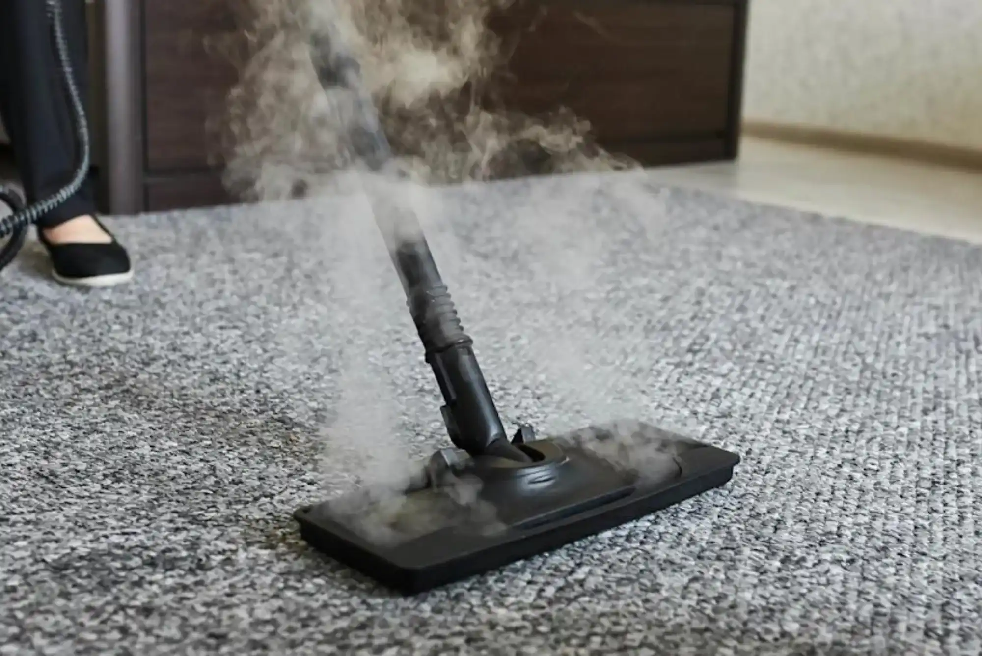 Carpet Steam Cleaning in Seattle