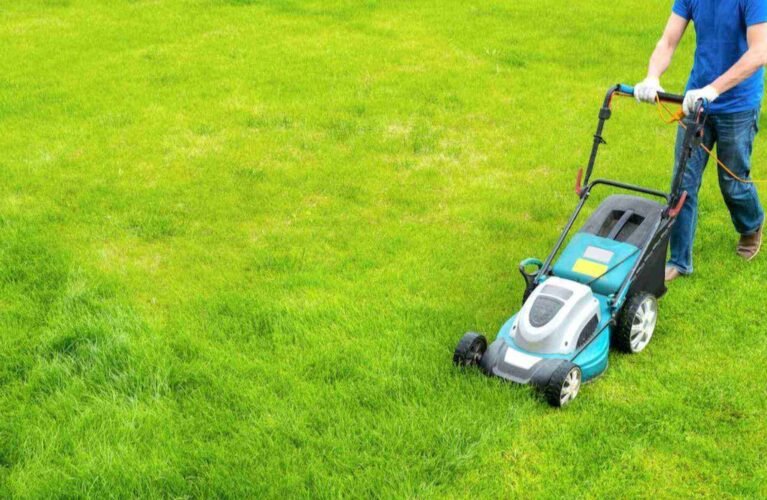 Lawn Fertilizing in Omaha, NE