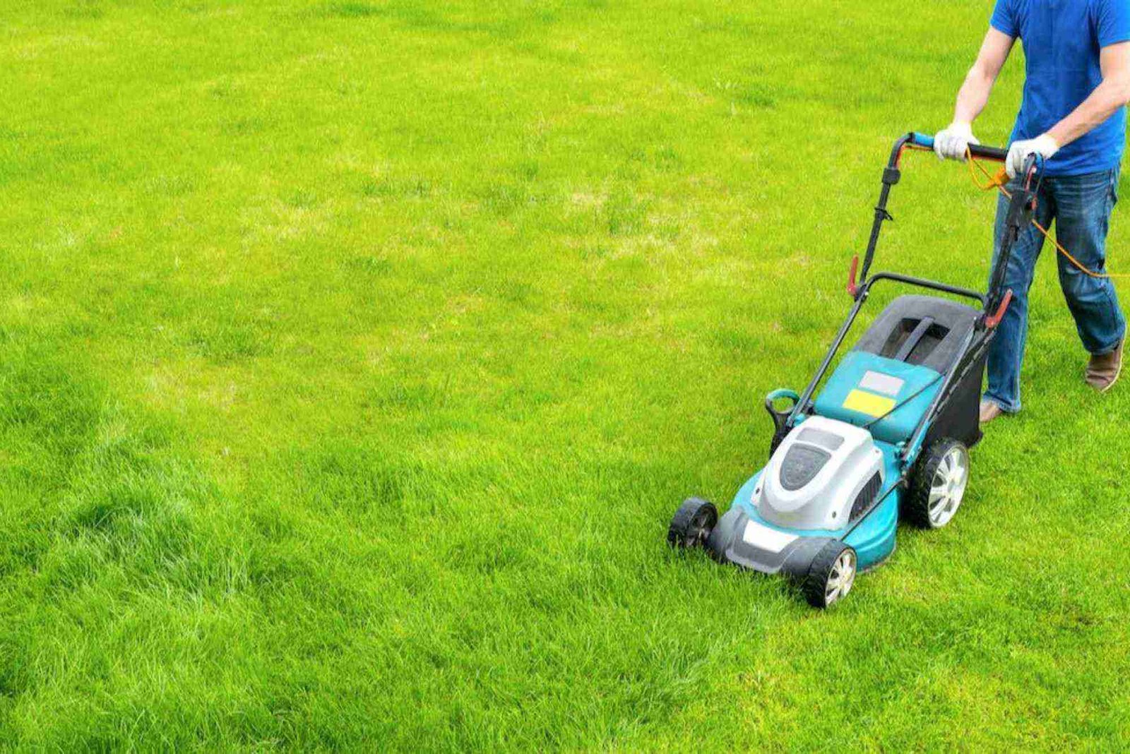 Lawn Fertilizing in Omaha, NE